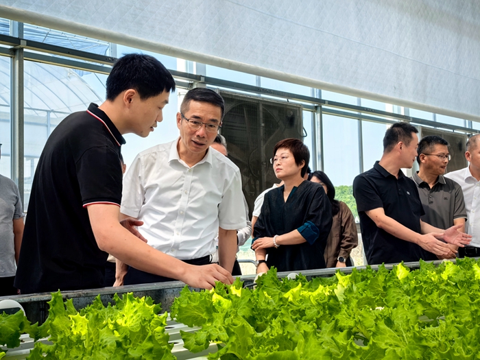 IMG_20260610_094856_副本.jpg